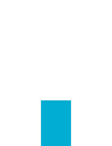format impression