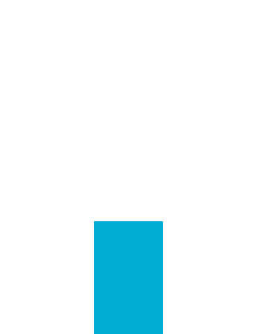 format impression