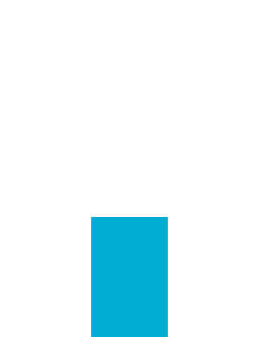 format impression